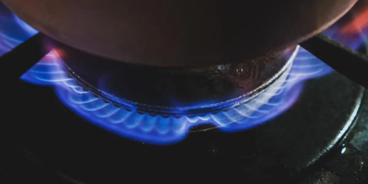 Ile kosztują akcje Tesli? Sprawdź aktualne ceny i prognozy rynku